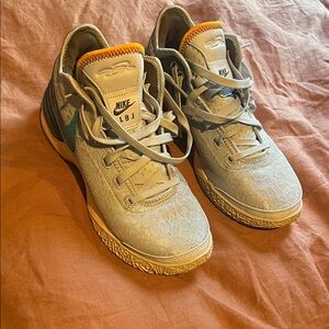 LeBron Nike basketball shoes.